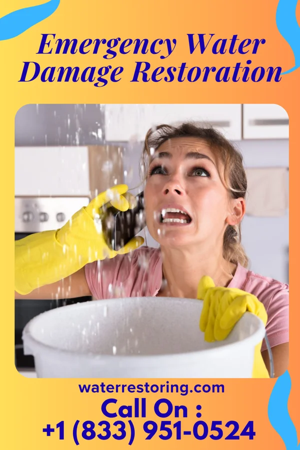 Emergency Water Damage Restoration in Chowan Beach, NC